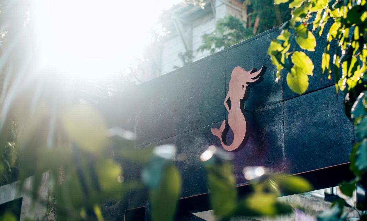 Arthouse Art Residences Tulum Luaran gambar