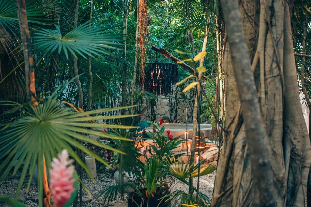 Arthouse Art Residences Tulum Luaran gambar